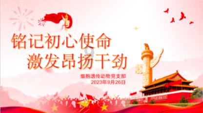 万词王